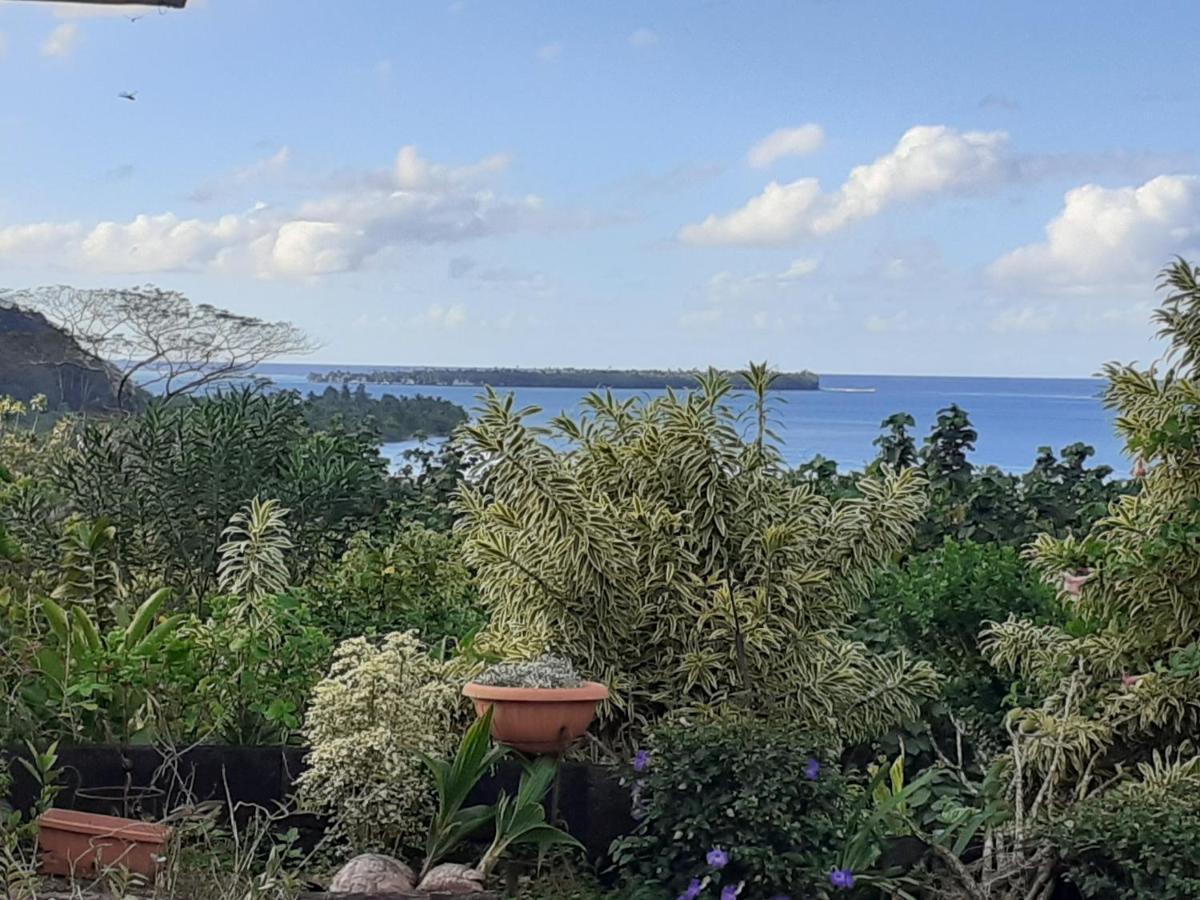 Pension Temaeva Villa Opoa Buitenkant foto