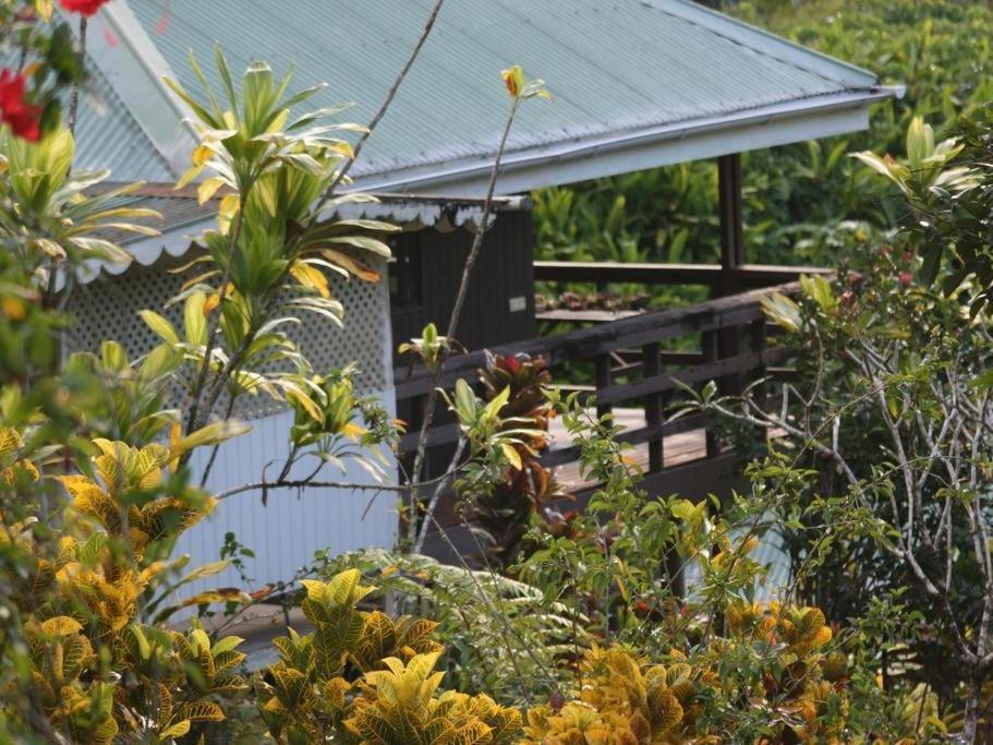 Pension Temaeva Villa Opoa Kamer foto
